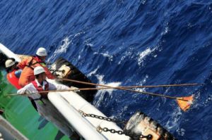 Bala orang berikan madahka bisi tetemuka repik tu ngagai Opis Maritim Malaysia, ti udah muai repik nya baru – leka jaku ‘boarding’ betulis ba atas repik ti dipelabaka akit penyelamat