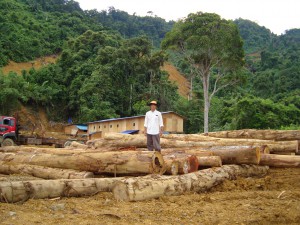 Sarawak's logs are a questionable product.