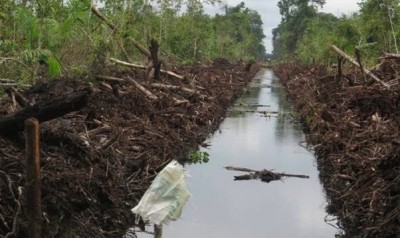 Parit baru ti digaga dalam pelilih menua ti diterangka BLD Plantation – gambar dipekunsika FOTO Malaysia