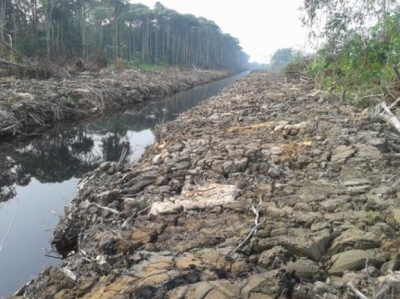 Ngerangkaika kampung paya daun enggau ngeruga endur jelu beridup ... tabi puji ke KTS