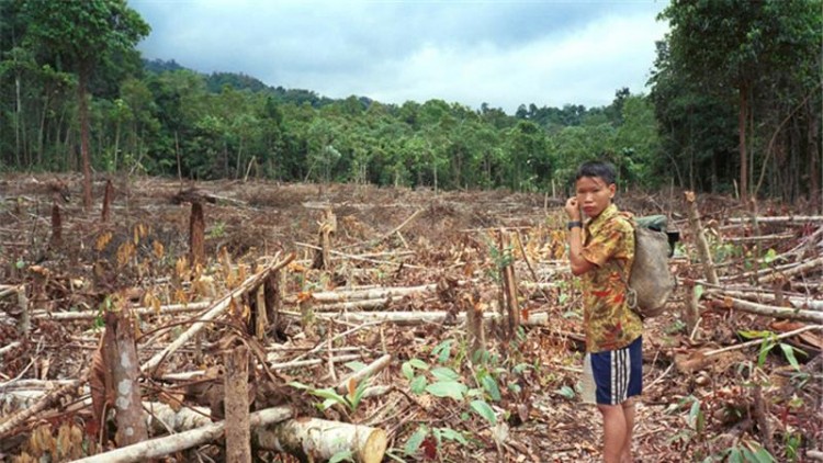 Baka ni orang bansa asal di menua pesisir di Malaysia ti andal sereta arapka perengka dikena ngintu pengerai enggau pengawa pelajar