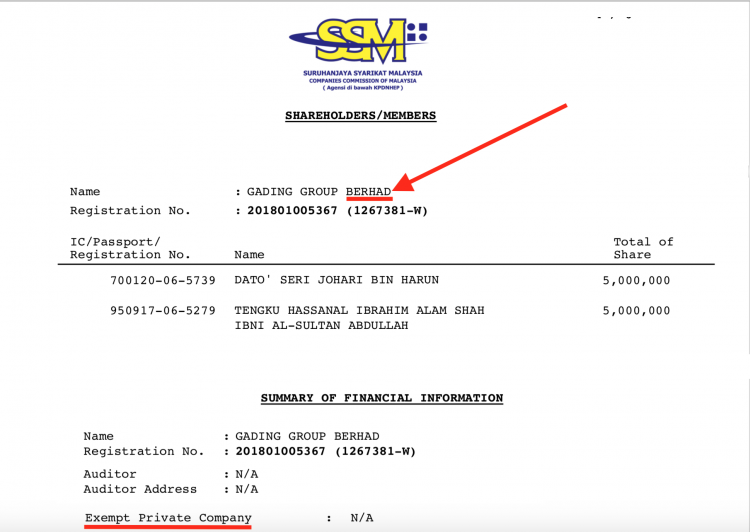 Private company named as a public company - no accounts